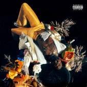 Kojey Radical - Cashmere Tears (Reedice 2022)