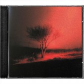 Joji - Piss In The Wind (2026)