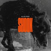 Algiers - Shook (2023)