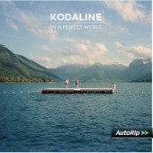 Kodaline - In a Perfect World/Vinyl 