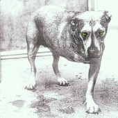 Alice In Chains - Alice In Chains 